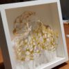 AURUM-collection-Nervura, Mirjana-Fat
